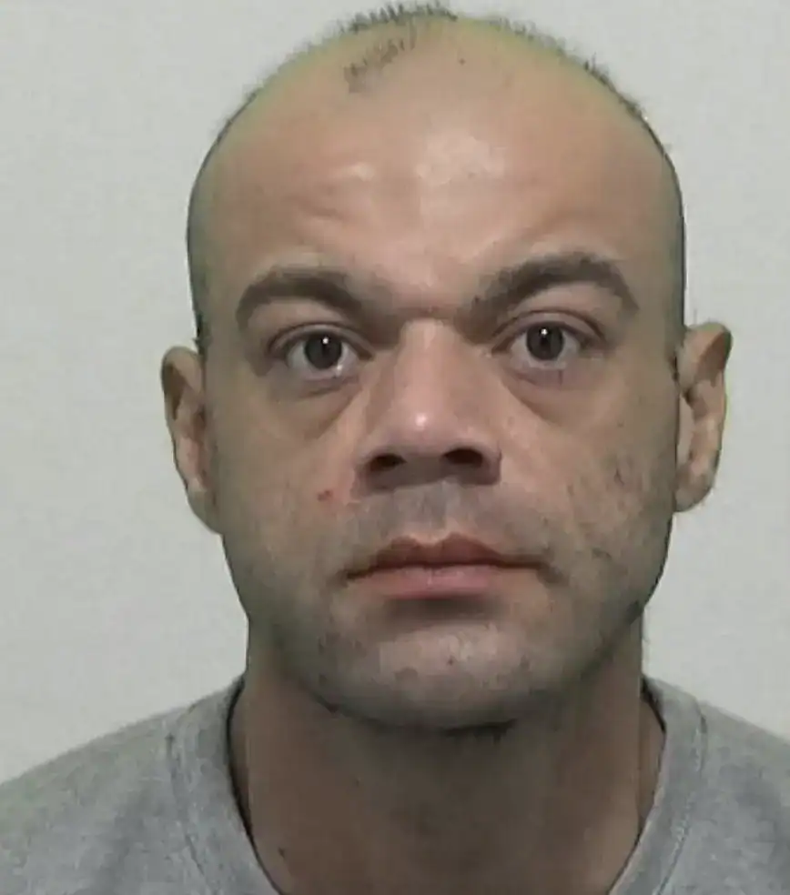 Sunderland Tragedy: Man Jailed for Manslaughter After Collision Claims Life of Christine Vasey