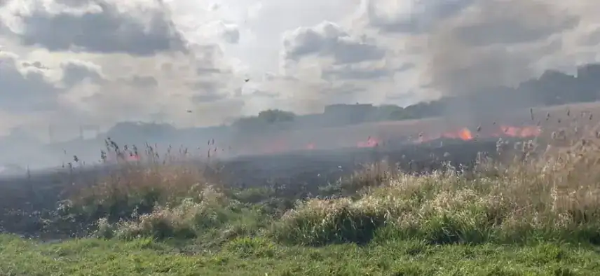 Firefighters Tackle Grass Blaze at Walthamstow Marshes