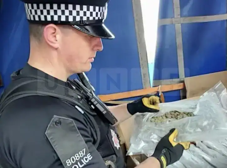 £1 Million Cannabis Haul Seized From Lorry In Witham £1 Million Cannabis Haul Seized from Lorry in Witham