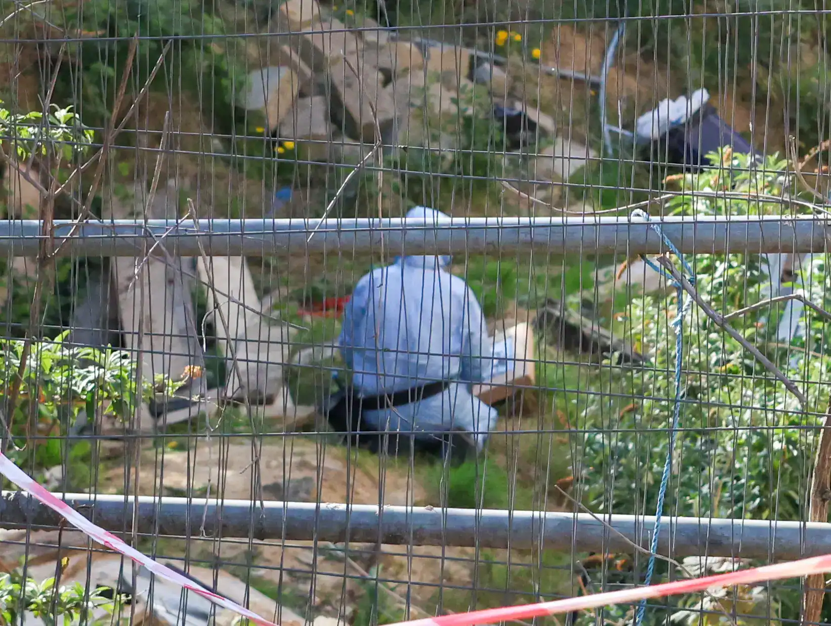 Two Arrested After Stabbing Outside the Mosque on Plumstead Road — Police Confirm Ongoing Investigation