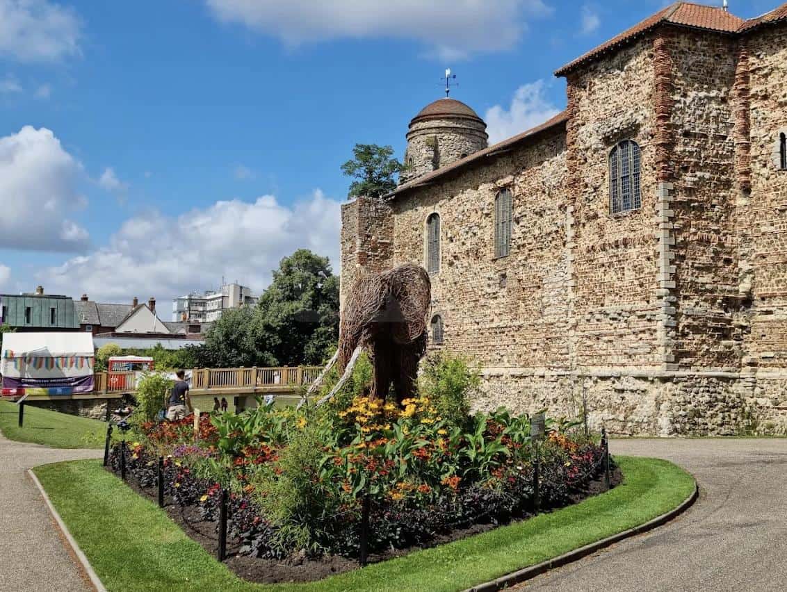 Appeal for Witnesses After Assault in Colchester’s Castle Park
