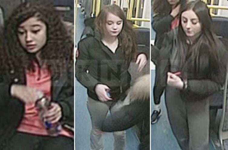 Elderly Man and Woman Attacked on Trains from London Bridge in Two Separate Incidents