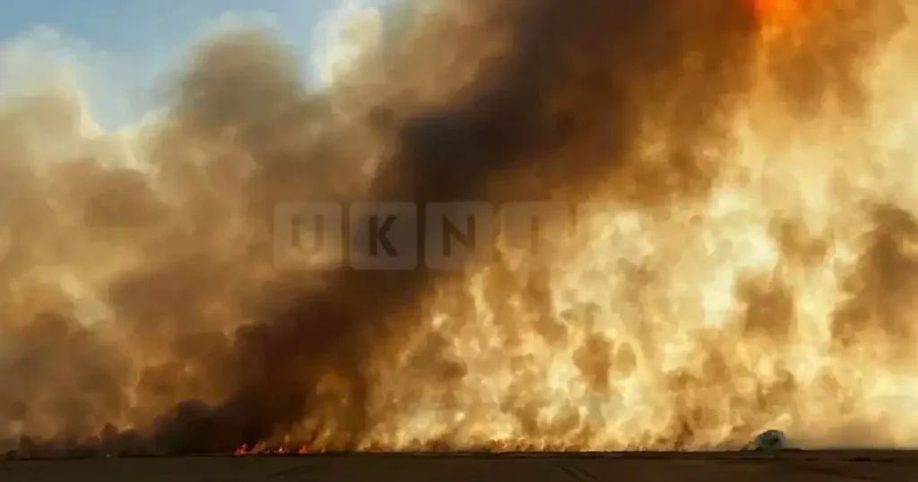 Fire Crews Battle Overnight Wildfire in Horsham