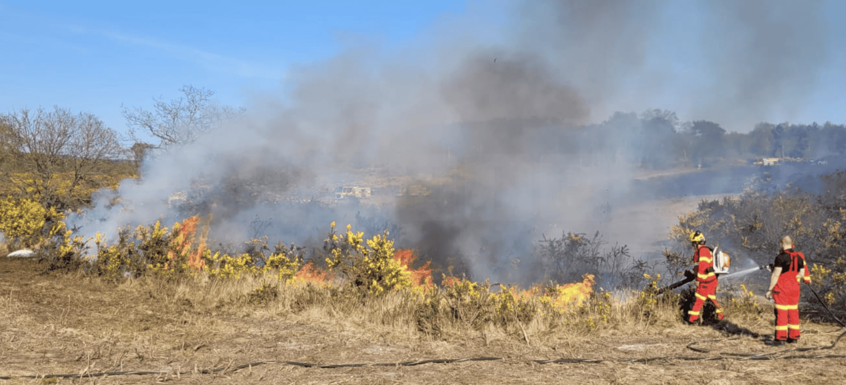 Firefighters Battling Large Wildfire in Blackwater Heathland