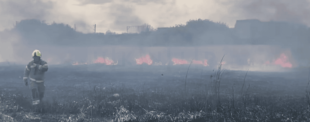 Firefighters Tackle Grass Blaze at Walthamstow Marshes
