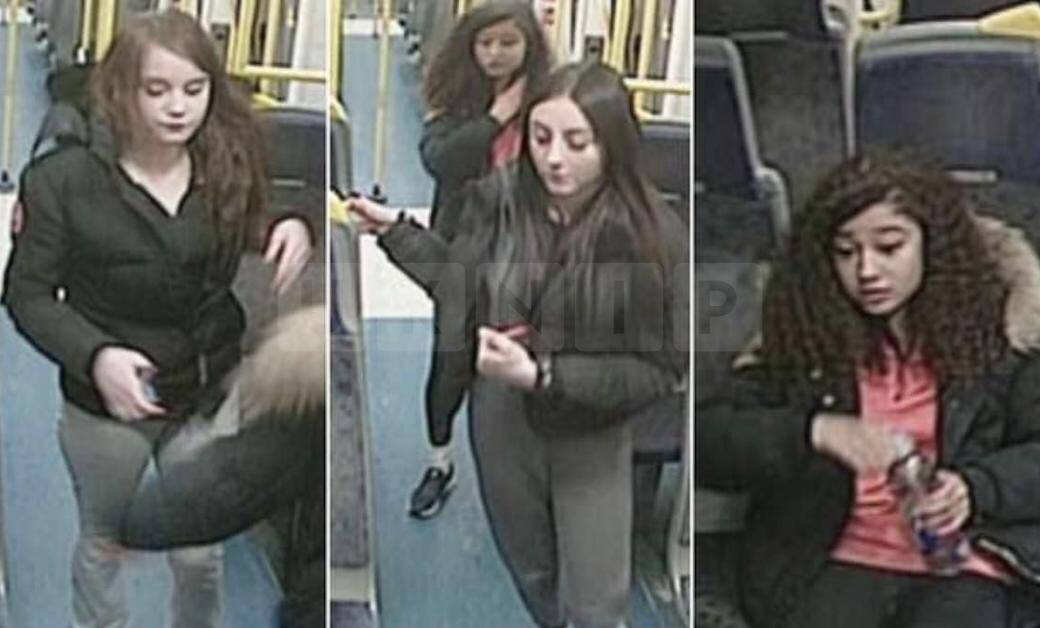 Gang of Teenage Girls Wanted After ‘Cowardly’ Attacks on Elderly Train Passengers in London