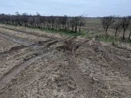 Arrest Made After Alleged Group Attack and Firearm Seizure at Beckenham Junction Station – UKNIP