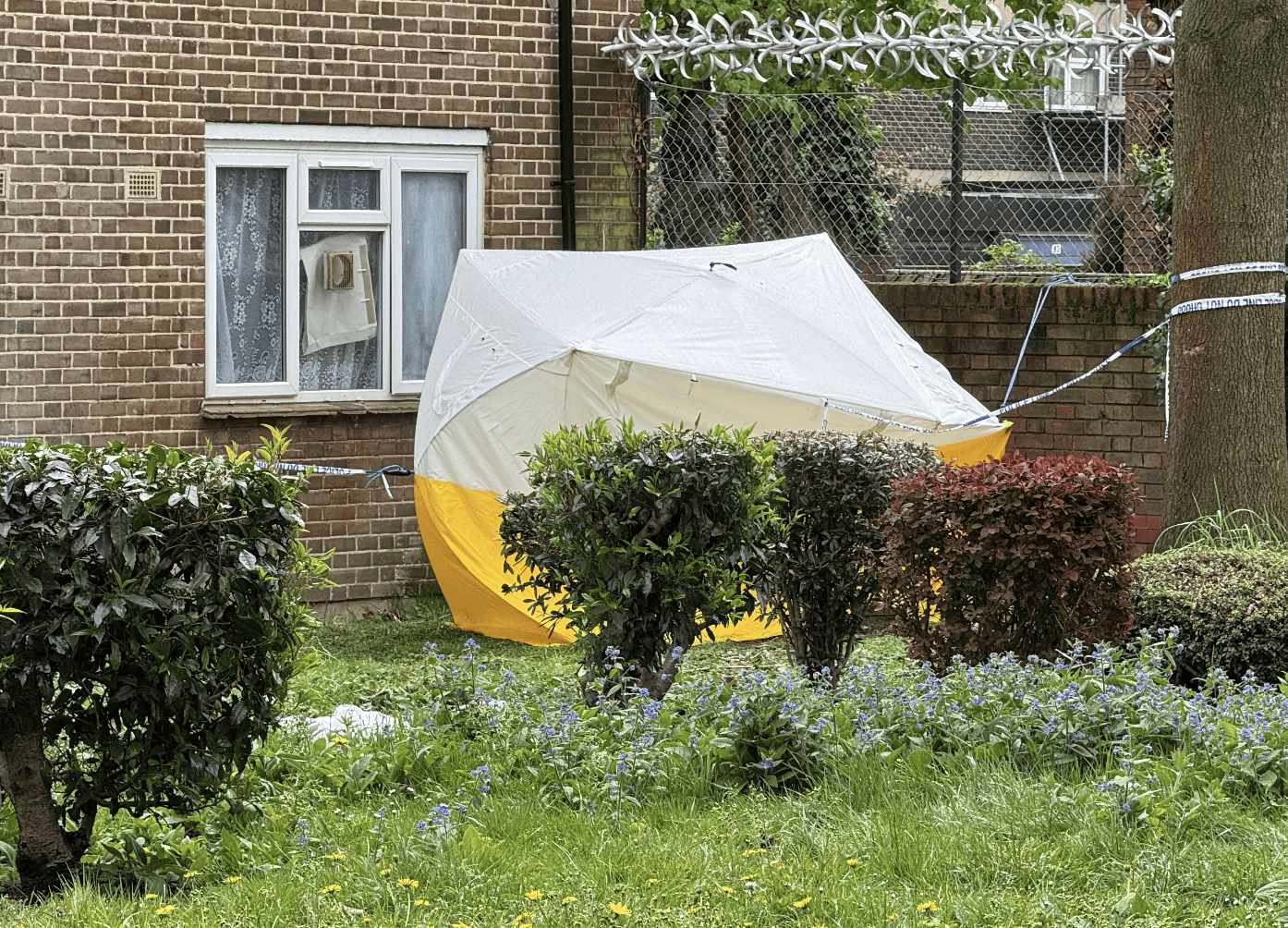 Man, 21, Stabbed to Death in Kennington as Six Arrested for Murder