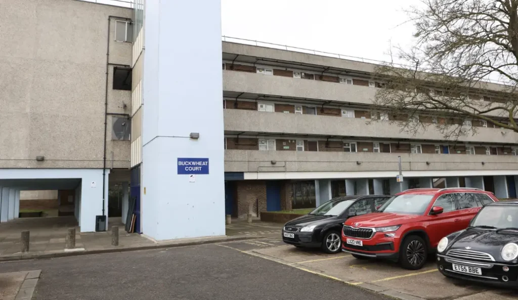 Man and Woman Found Dead in Thamesmead Home Named by Police