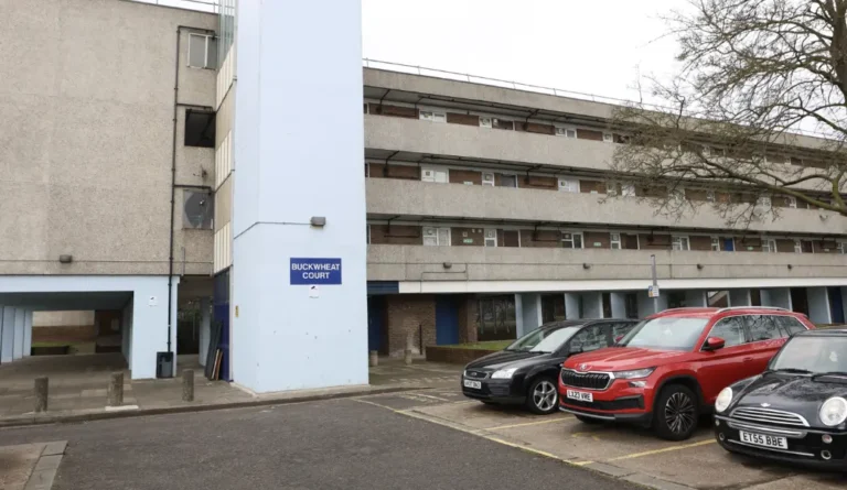 Man and Woman Found Dead in Thamesmead Home Named by Police