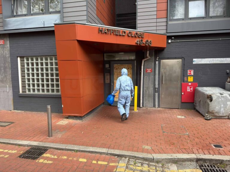 Man Charged with Murder Following Fatal Incident at Hatfield Close in Lewisham