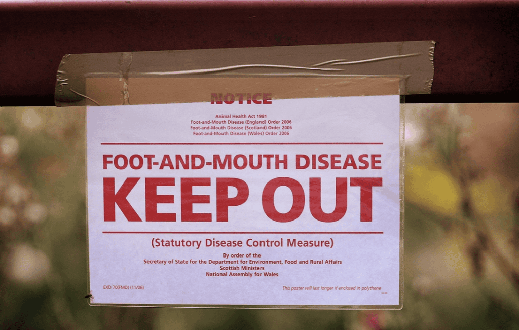 New Rules Ban Meat and Dairy Imports from EU as UK Moves to Block Foot and Mouth Disease