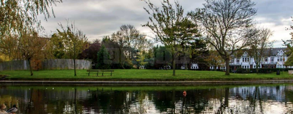 Southend Police Appeal for Witnesses Following Assault in Southchurch Park