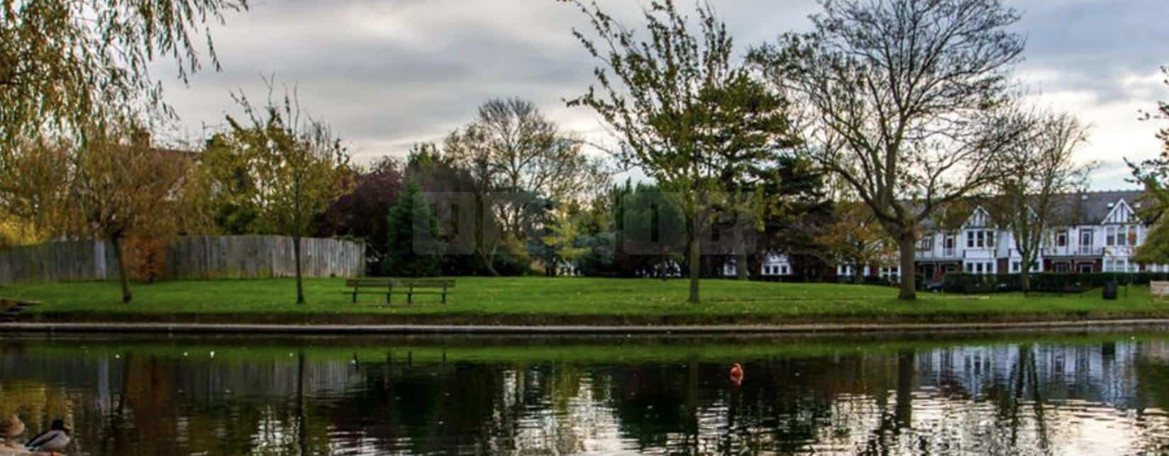 Southend Police Appeal for Witnesses Following Assault in Southchurch Park