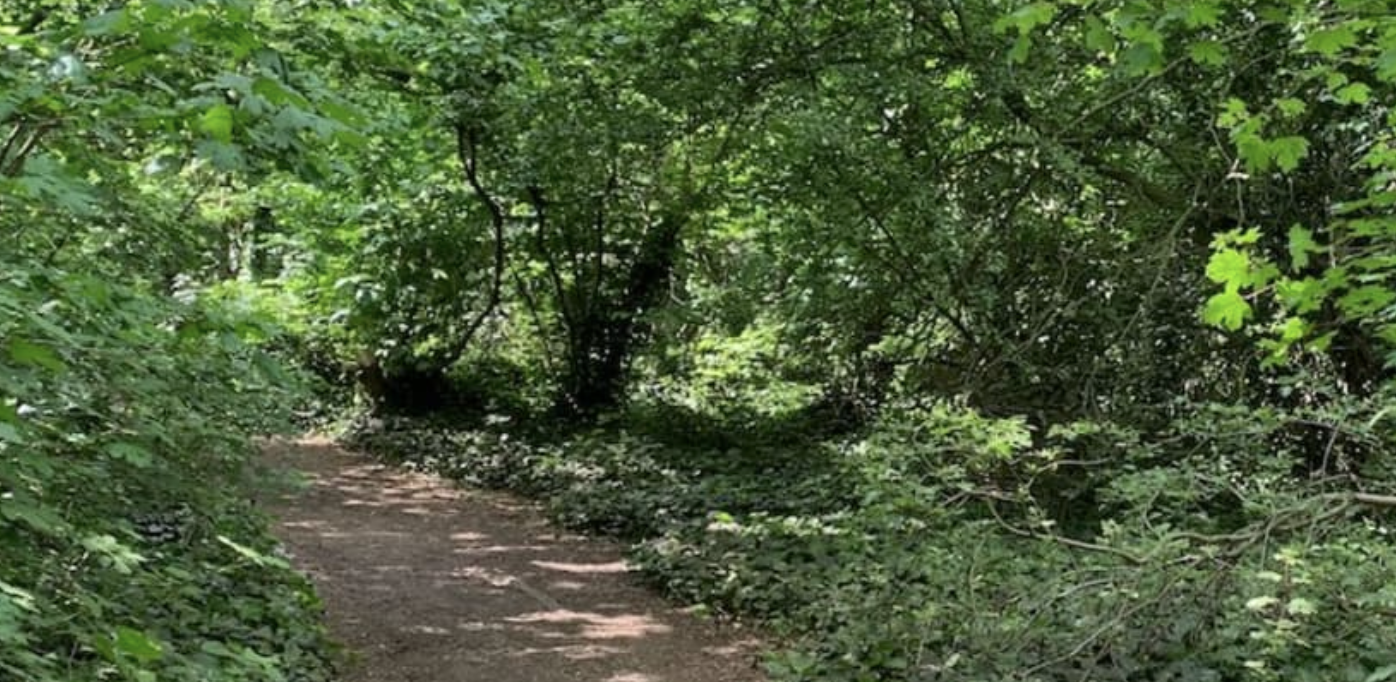Two Teens Charged After Bus Station Stabbing in Peterborough