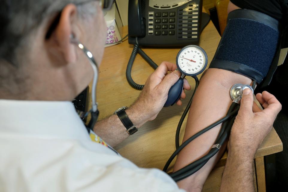 South London Man in Court After XL Bully Dogs Kill Pet in Brighton Attack – UKNIP