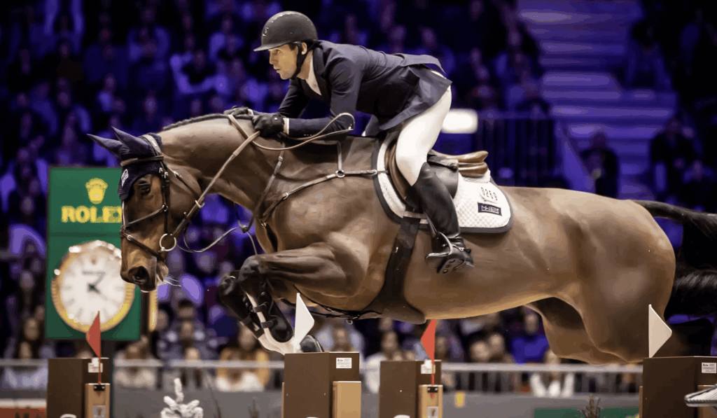 What Makes a Champion Horse in Show Jumping