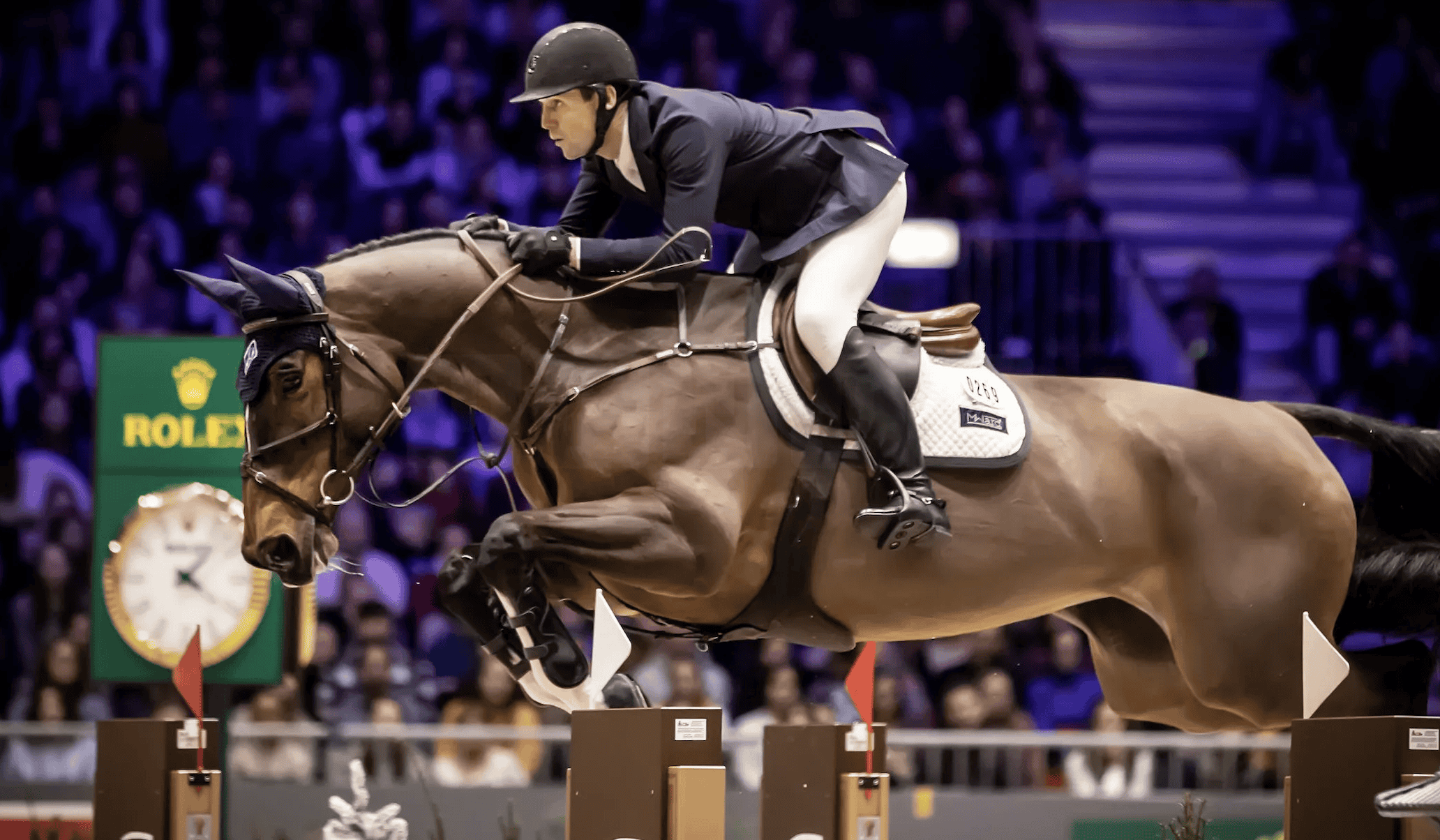 What Makes a Champion Horse in Show Jumping