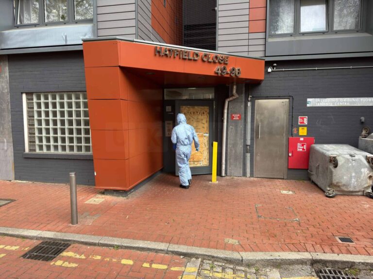 Woman Found Dead in New Cross Named as Hien Vu, Man Charged with Murder