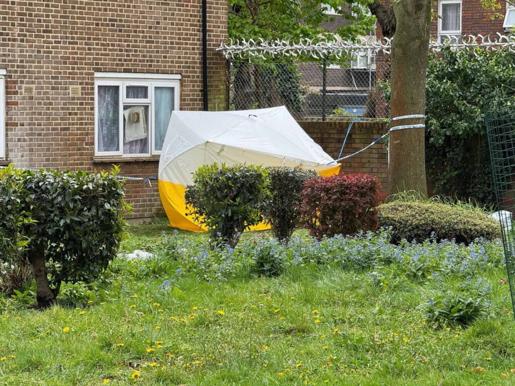 Young Man Fatally Stabbed in South London as Police Launch Murder Probe