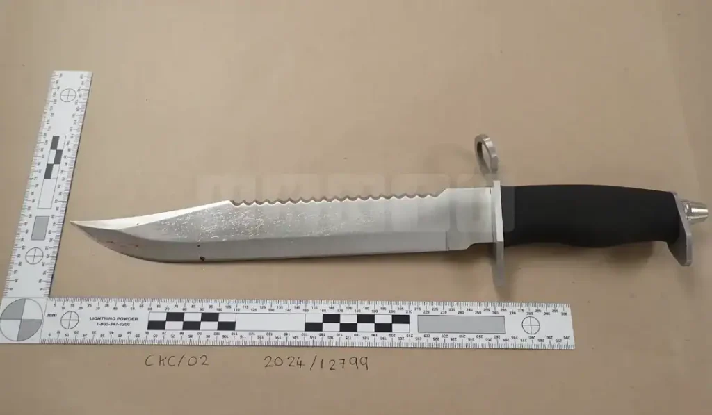 Teen Zombie Knife Attacker Found Guilty Of Attempted Murder At Notting Hill Carnival Teen Zombie Knife Attacker Found Guilty of Attempted Murder at Notting Hill Carnival