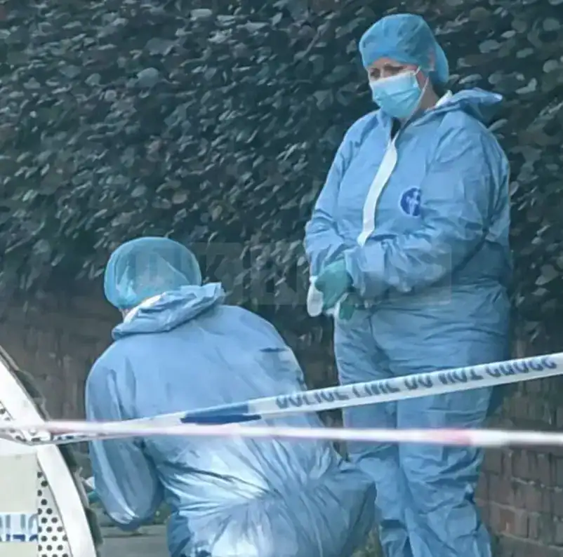 Man in Life-Threatening Condition After Neck Stabbing in Fulham