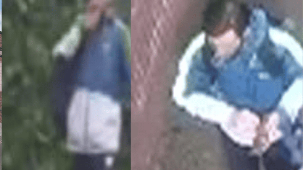 Boy, 5, Bitten by Dog on Tyne and Wear Metro: Police Issue Urgent Appeal