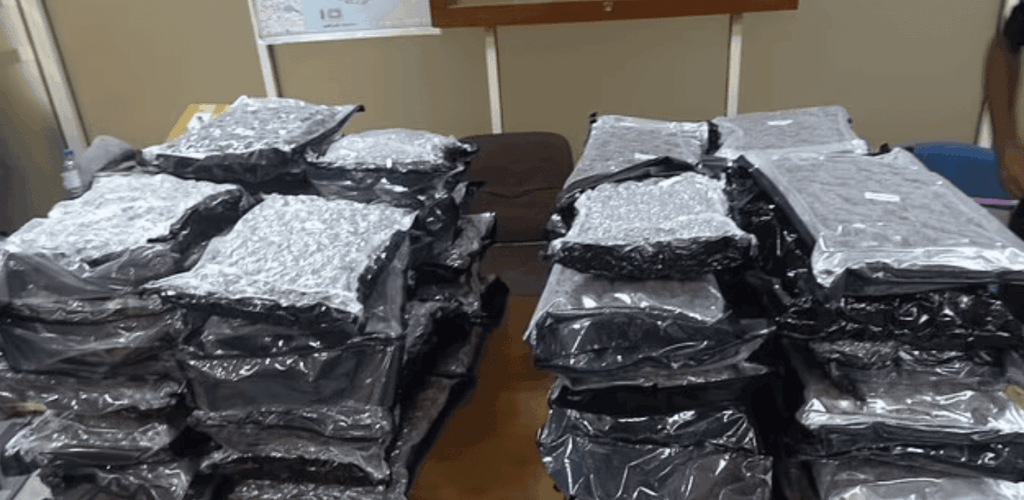 British Air Stewardess Accused of Smuggling £1.15m Cannabis Haul into Sri Lanka