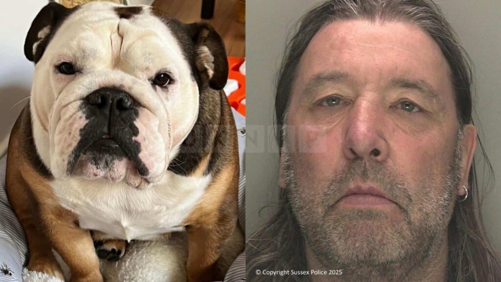 Crawley Man Jailed for Arson Attack That Killed Ex-Partner’s Dog and Destroyed Her Home