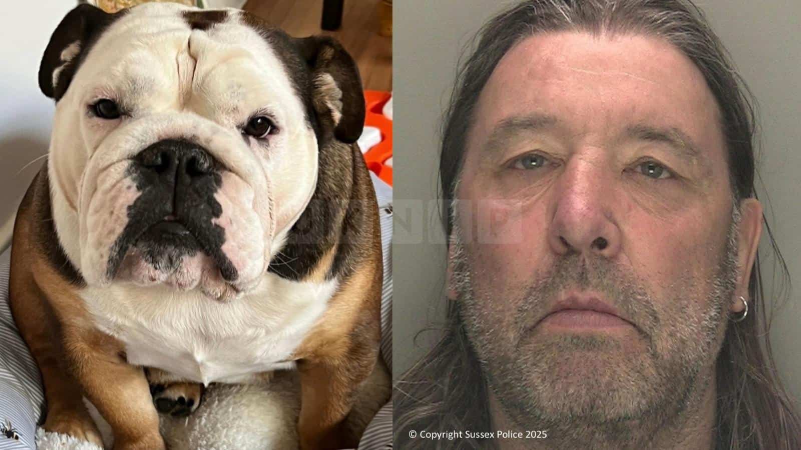 Crawley Man Jailed for Arson Attack That Killed Ex-Partner’s Dog and Destroyed Her Home