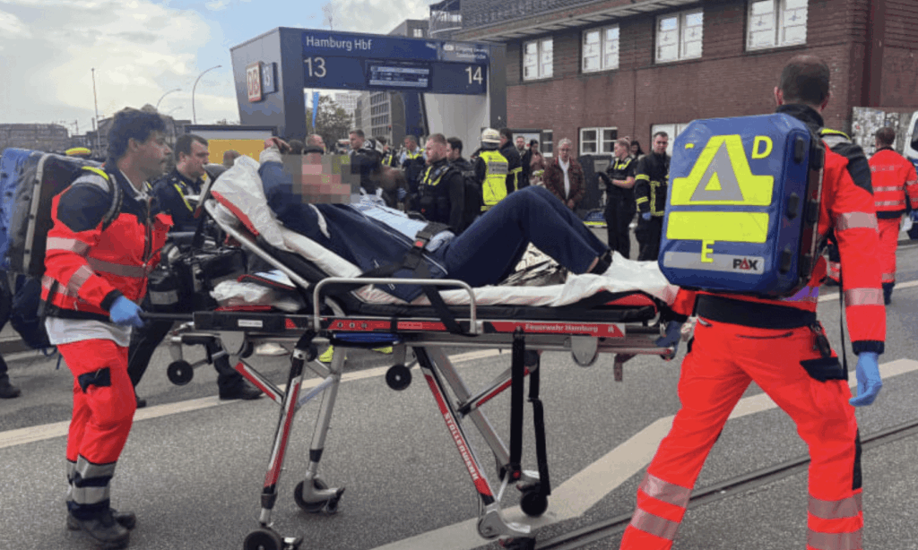 Knife Attack at Hamburg Train Station Leaves 12 Injured, Suspect in Custody