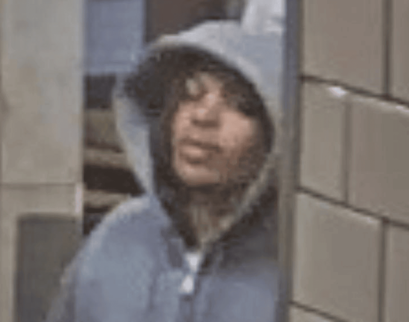 Manhunt Launched After Piccadilly Line Passenger Punched in the Face