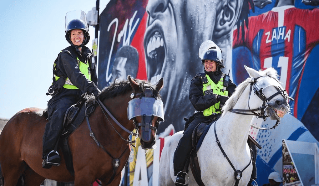 Met Police Appeal After Two Horses Attacked by Dog in Shepherd’s Bush