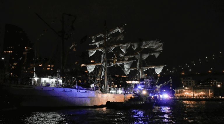 Mexican Navy Ship Cuauhtémoc Crashes into Brooklyn Bridge, Leaving Two Dead and 17 Injured