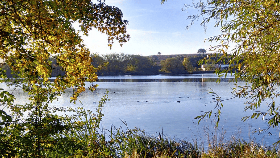 Police Investigate After Woman’s Body Found in Kings Mill Reservoir