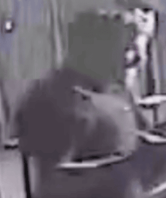 Police Release New Image After Nightclub Assault Update