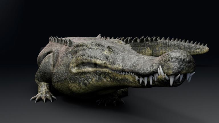Two New Crocodile Species Discovered in Mexico, Shocking Scientists