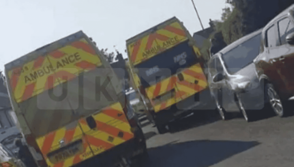 Two Toddlers Seriously Injured in Dog Attack at Home in Prescot, Knowsley