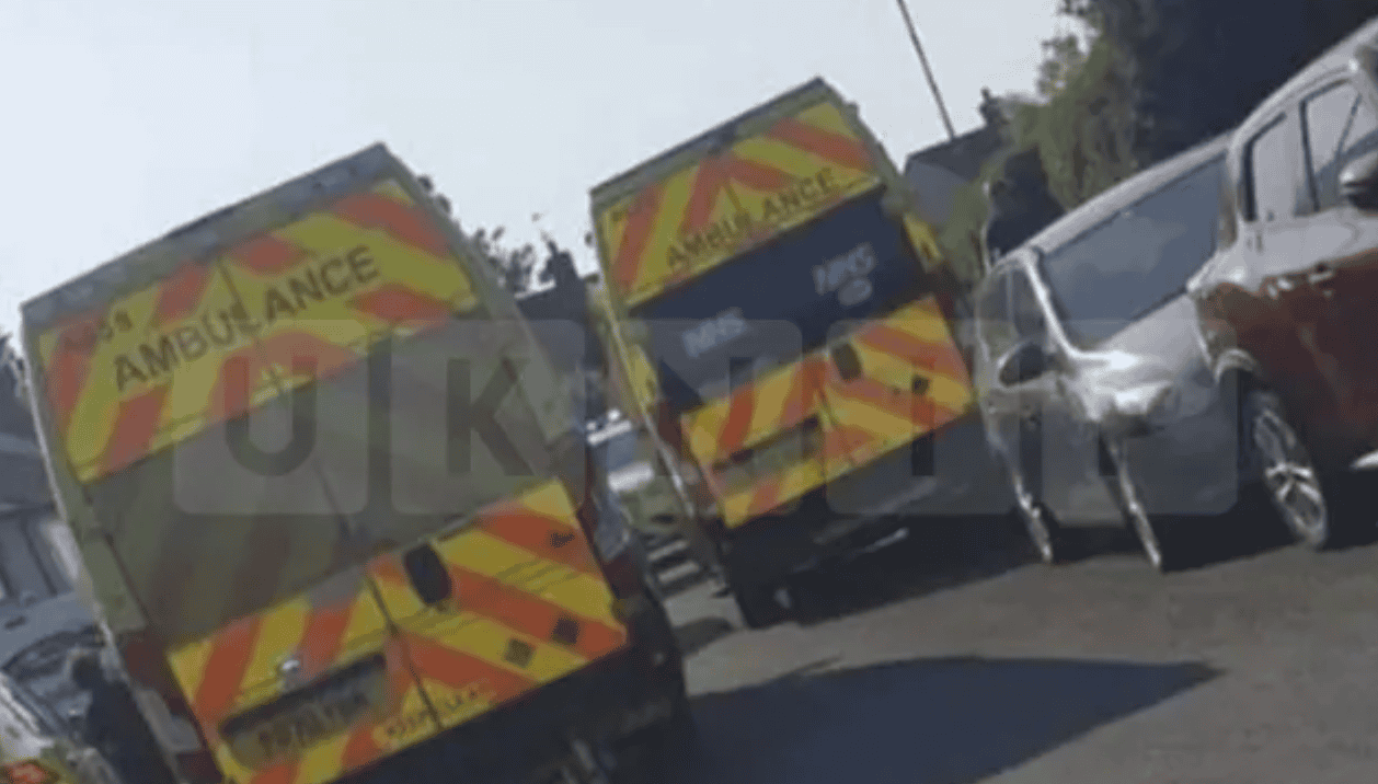 Two Toddlers Seriously Injured in Dog Attack at Home in Prescot, Knowsley