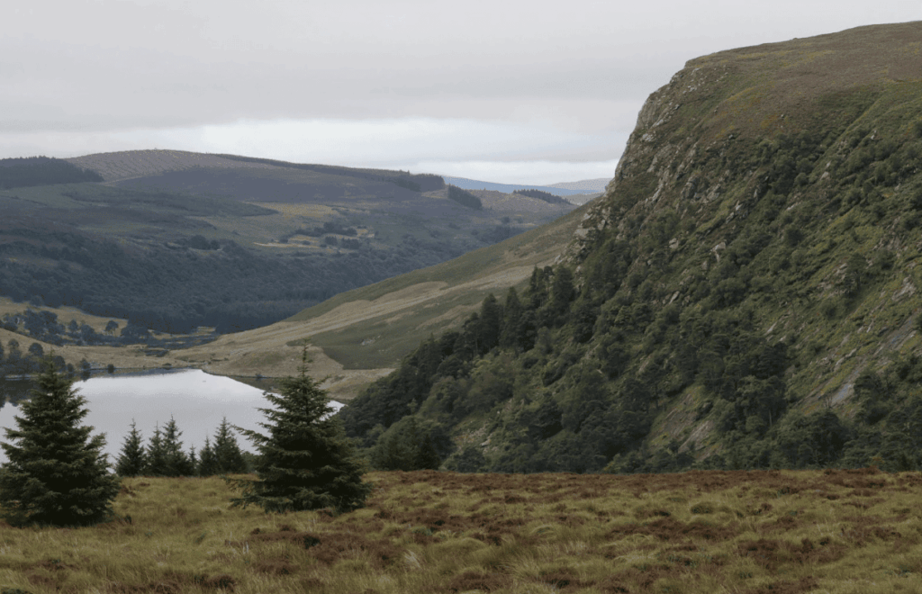 UK Lottery Grant for Dartmoor Marshes the Latest in a Long Line of Helpful Handouts