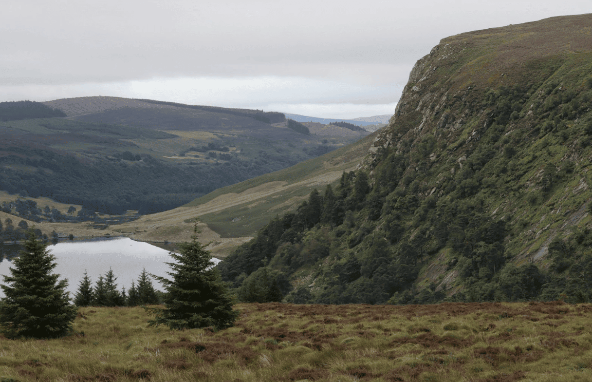 UK Lottery Grant for Dartmoor Marshes the Latest in a Long Line of Helpful Handouts