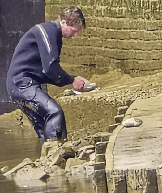 Unexploded Ordnance Found Near River Arun