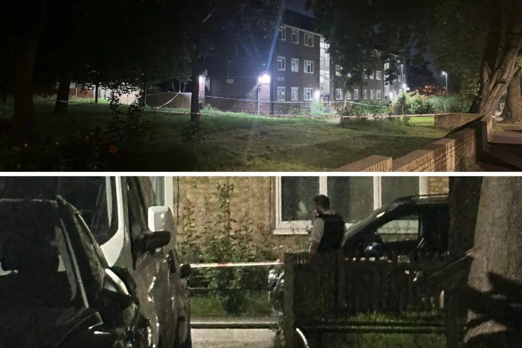 Three Met Officers Face Misconduct Hearing After 90-Year-Old Woman Was Threatened With Taser and Restrained – UKNIP