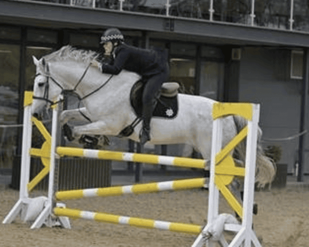 Wiltshire Police Triumph at Forces Equine Championships in Bedworth