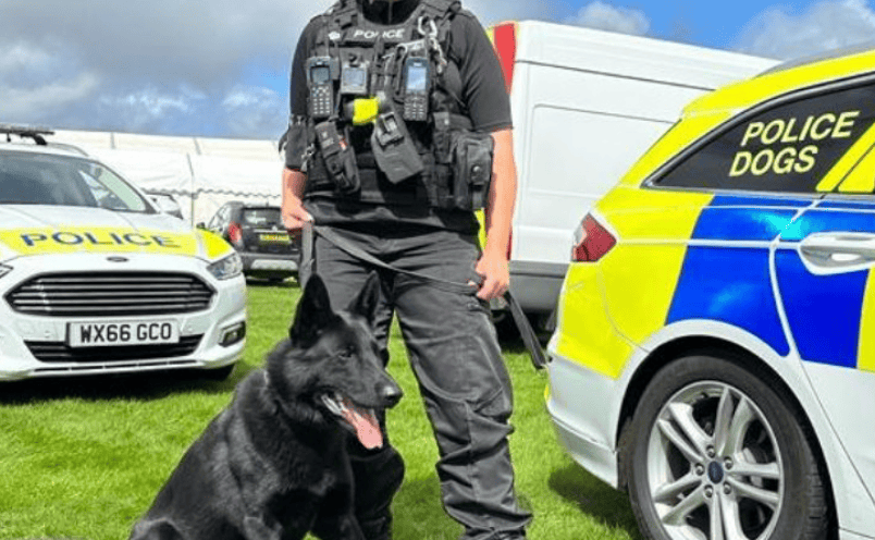 Woman Arrested and Dog Seized After Series of Attacks in Swindon
