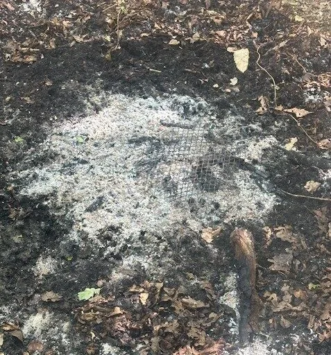 Dog Walker Helps Avert Woodland Disaster After Disposable BBQ Sparks Fire in Kent