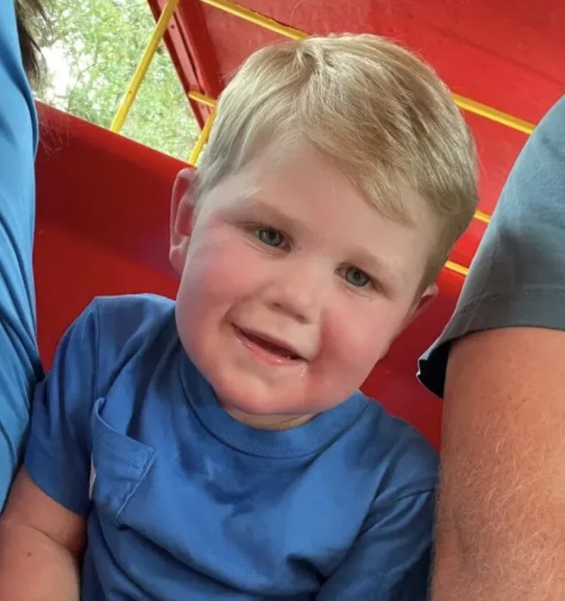 Boy, 2, Fighting for Life After Being Stung Over 150 Times by Yellow Jackets in Georgia Backyard