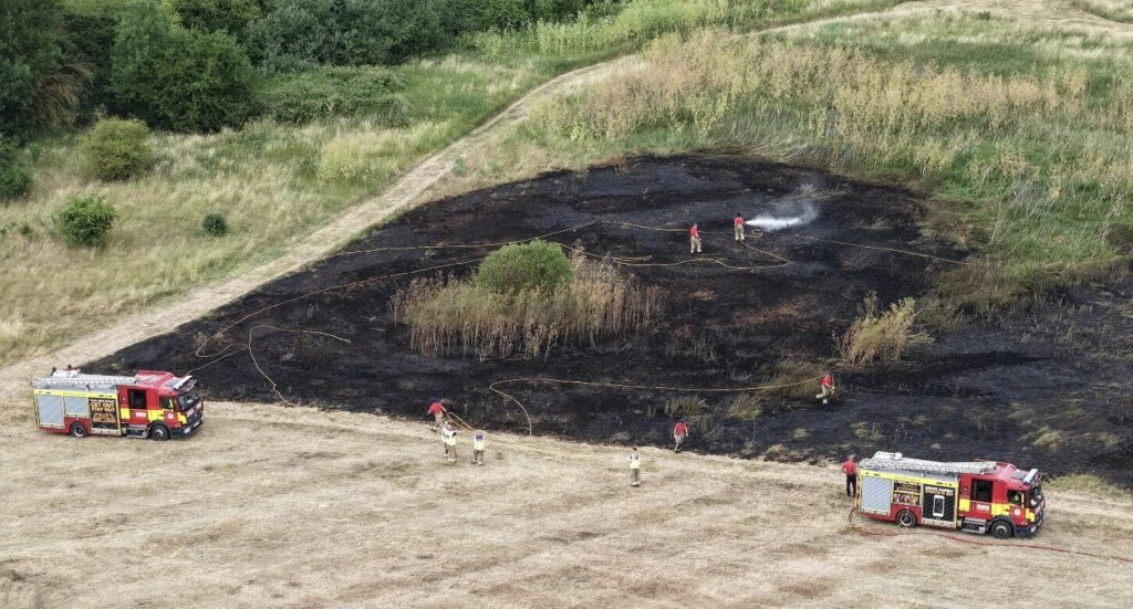 Firefighters Battle Grass Fire in Dagenham as Wildfire Risk Intensifies