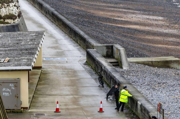 Remains Found Near Brighton Identified as Missing Jersey Woman Anne Potter