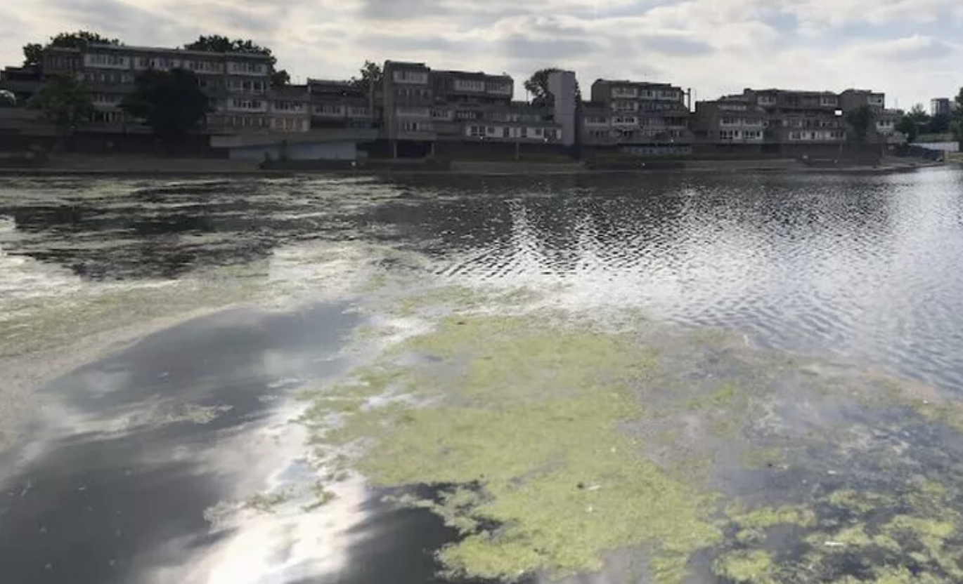 Teenager Rescued from Southmere Lake and Taken to Hospital After Emergency Response
